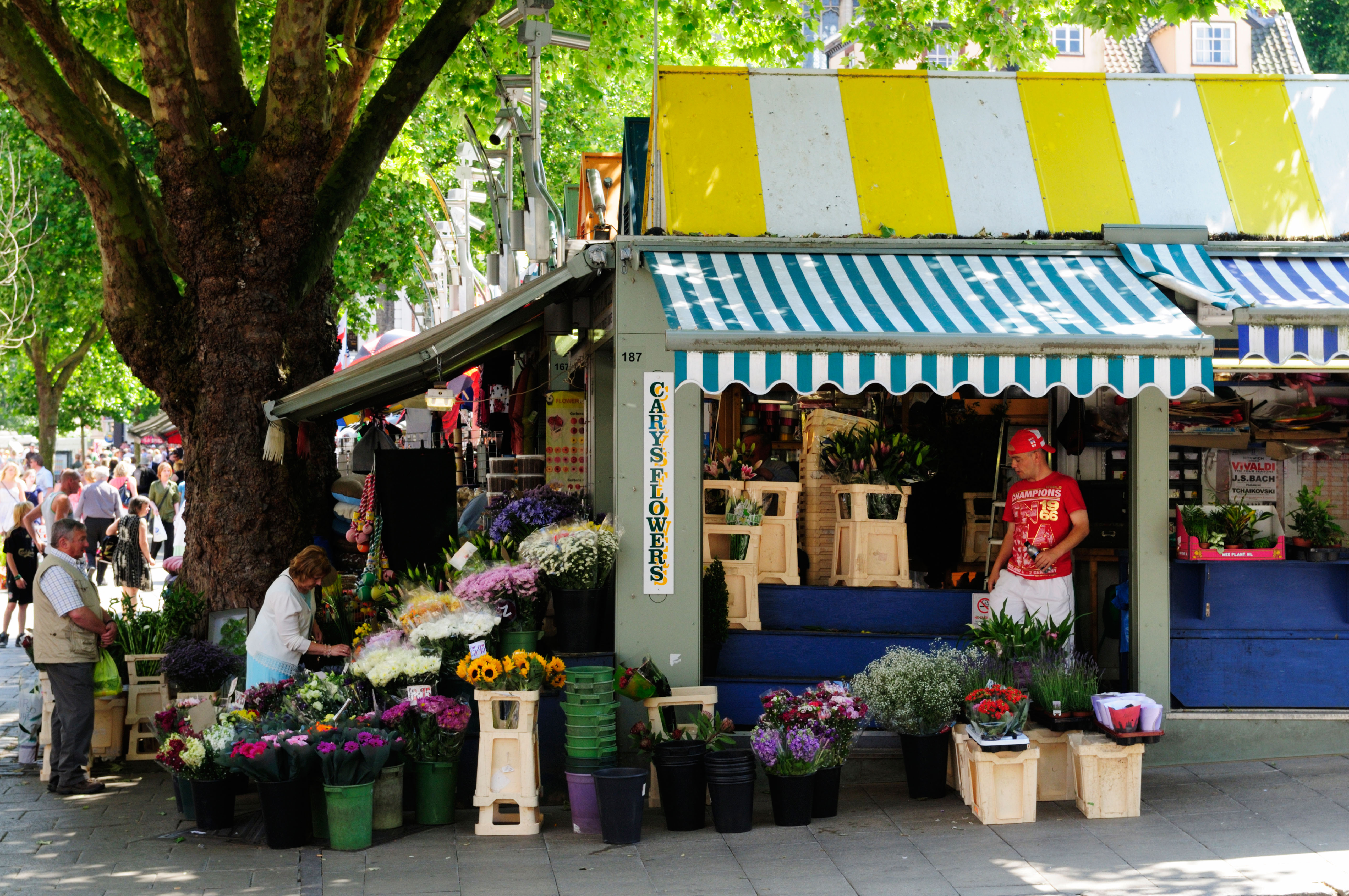 Flower Stall on the Market, Norwich, Norfolk, England, UK